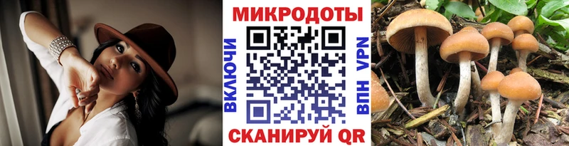 Псилоцибиновые грибы мухоморы  Могоча 